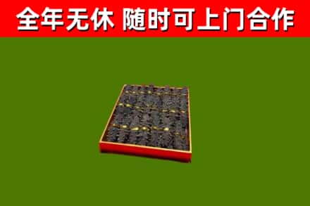 井研回收海参